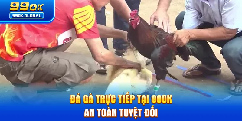 Đá gà trực tiếp tại 99OK an toàn tuyệt đối