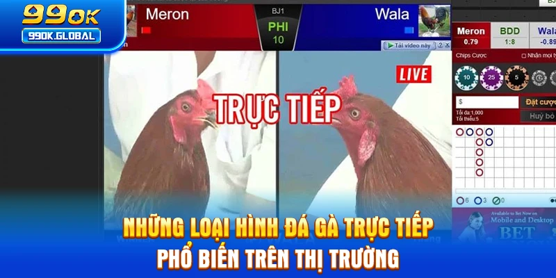 Những loại hình đá gà trực tiếp phổ biến trên thị trường