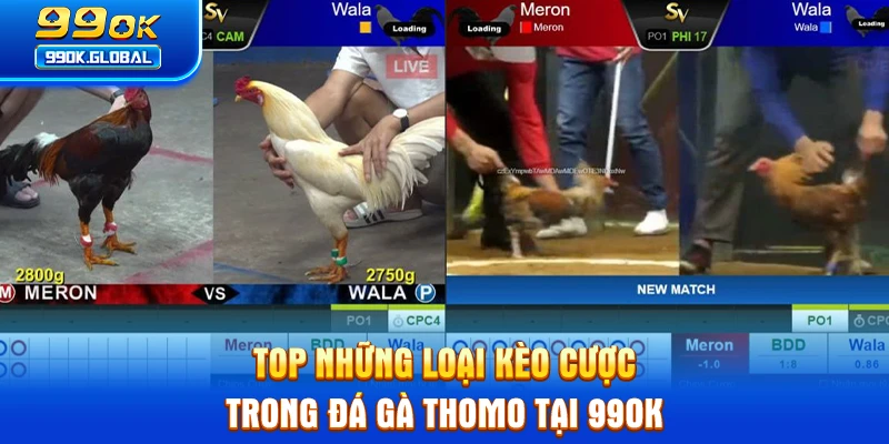 Top những loại kèo cược trong đá gà Thomo tại 99OK